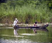 Grosse Teile der New River Lagune sind nur mit dem Boot erreichbar