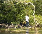 Für die Menschen ist das Leben an der New River Lagune hart und entbehrungsreich.