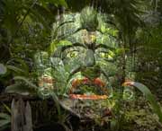 Mystische Eindrücke, Tikal  verzaubert so manch einen Besucher