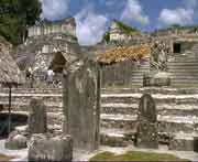 Nördliche Akropolis mit Stelen und Opferaltären. Nicht alle Stelen und Altarsteine waren in Tikal skulptiert sondern einfach nur glatt und ohne Stuckauflage. Vermutlich waren sie früher rot angemalt gewesen. Farbreste bei verschiedenen Stelen deuten darauf hin..