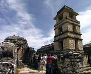 Blick auf den grossen Turm im  Palastkomplex von Palenque